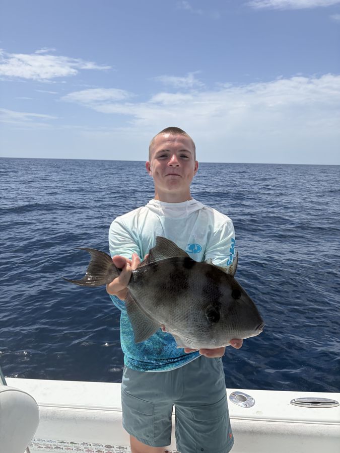 A triggerfish caught on a near-shore reef charter